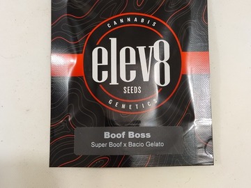 Venta: BOOF BOSS - Elev8