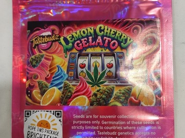 Venta: LEMON CHERRY GELATO - Tastebudz