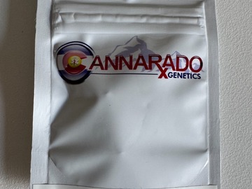 Verkaufen: Cannarado - WiFi Sunset (WiFi #3 x Sunset Sherb)