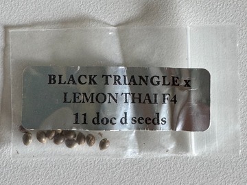 Verkaufen: Doc D - Black Triangle x Lemon Thai F4