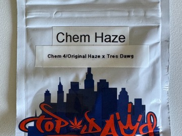Verkaufen: Top Dawg Seeds - Chem Haze (Chem 4/Original Haze x Tresdawg)