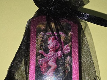 Vente: Pink Pony Girl(Cindy 99 x Eastern Rebellion) - 12 Regs
