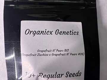 Vente: Grapefruit N' Pears Bx1