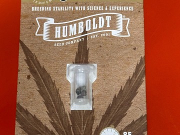 Vente: Humboldt Seed Co Trainwreck auto