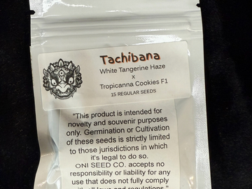 Verkaufen: Tachibana - White Tangerine Haze x Tropicanna Cookies F1