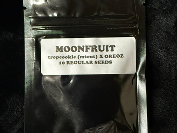 Verkaufen: 3RD Coast Genetics - MOONFRUIT - Trop Cookies (mtcut) x Oreoz