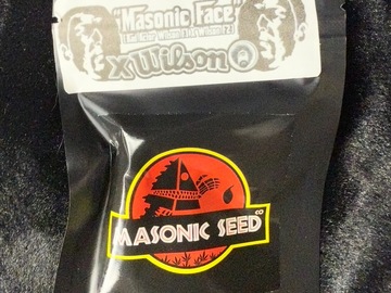 Verkaufen: Masonic Seeds - Masonic Face
