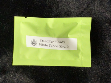 Verkaufen: DeadPanHead - White Tahoe Skunk
