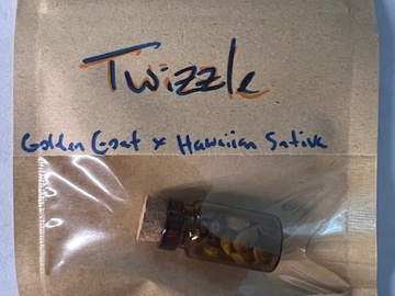 Verkaufen: Golden Goat x Hawaiian Sativa - Ozark Nation