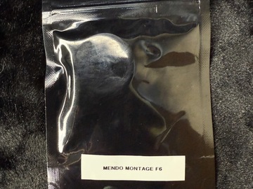 Verkaufen: Big Pond Genetics - Mendo Montage F6