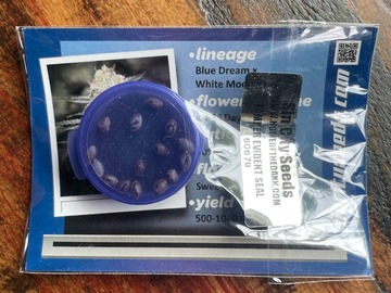 Vente: Sin City Seeds - White Nightmare F2