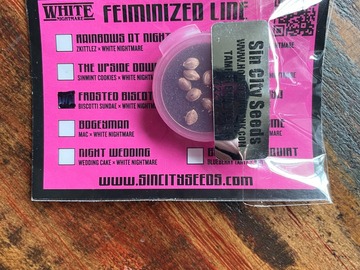 Verkaufen: Sin City Seeds - Frosted Biscotti (FEM)