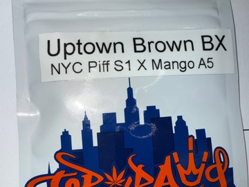 Vente: Top Dawg Genetics: Uptown Brown BX