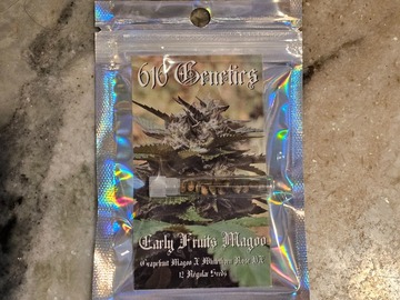 Vente: Early Fruit Magoo, Grapefruit Magoo X Paradise Pine