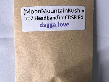 Sale: (Moon Mountain Kush x 707 Headband) x CDSR F4