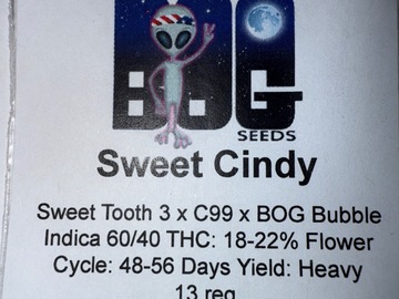 Verkaufen: BOG Seeds : Sweet Cindy