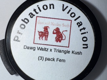 Verkaufen: Goat & Monkey Seeds : Probation Violation