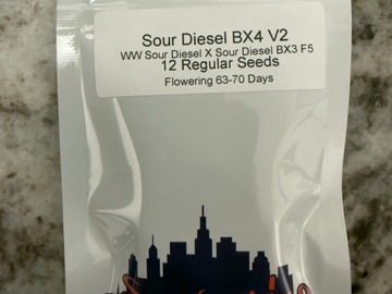 Sale: Sour Diesel BX4 V2 by Top Dawg Seeds