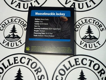 Vente: Exotic Genetix: Mooseknuckle Jockey