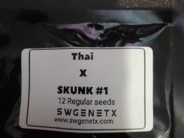 Verkaufen: Thai x Skunk#1 - 12 Regs