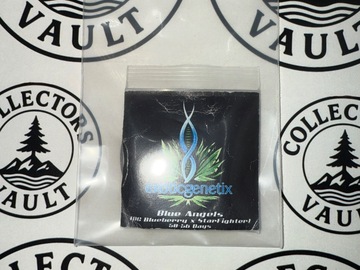 Verkaufen: Exotic Genetix : Blue Angels