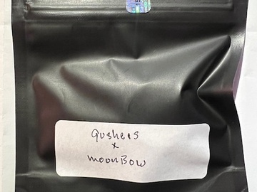 Verkaufen: Gushers x Moonbow