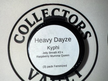 Vente: Heavy Dayze : Kyphi