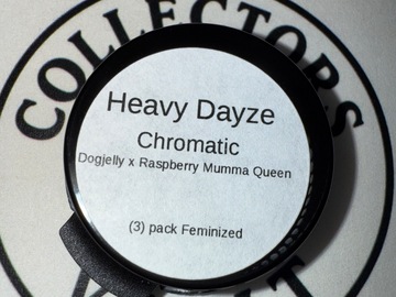 Vente: Heavy Dayze : Chromatic