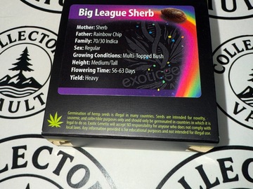 Verkaufen: Exotic Genetix : Big League Sherb