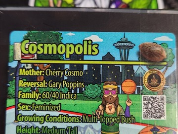 Sale: Cosmopolis