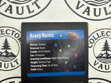 Venta: Exotic Genetix : Krazy Runtz