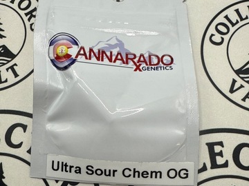 Sale: Cannarado Genetics : Ultra Sour Chem OG