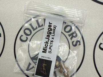 Sale: Envy Genetics : MickJagger