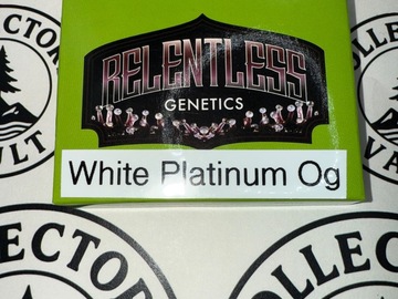 Sale: Relentless Genetics : White Platinum OG