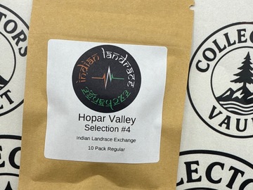Vente: Indian Landrace Exchange : Hopar Valley Selection #4