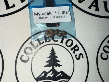 Verkaufen: MycoTek Seed Company : Hell Star