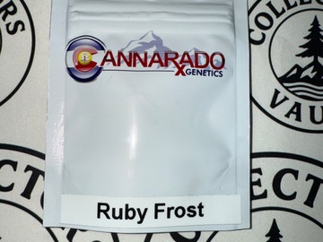 Verkaufen: Cannarado Genetics : Ruby Frost