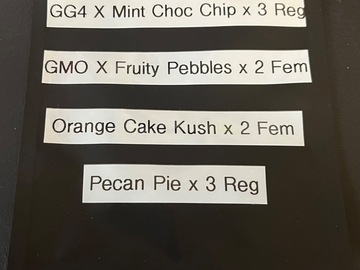 Vente: Rare Banging Variety Seed Pack- Hybrid