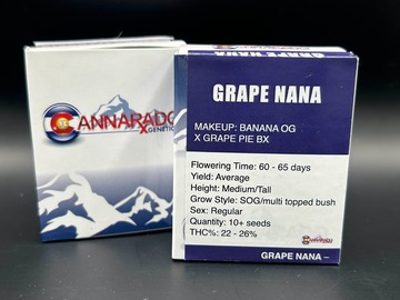 Venta: Grape Nana | CANNARADO GENETICS