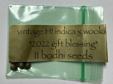 Sale: Bodhi Seeds - Vintage Hawaiian  x Wookie