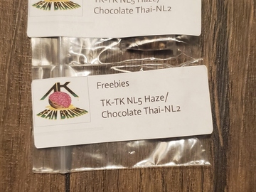 Vente: ak bean brains - Tk-tk nl5 haze x chocolate thai-nl2