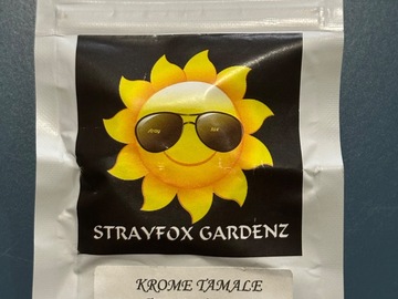 Verkaufen: StrayFox - Chrome Tamale