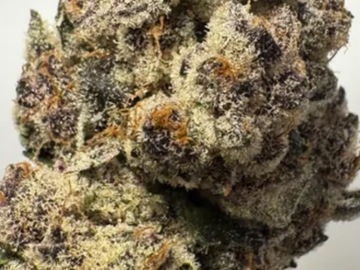 Venta: Melted Strawberries- Strawberry Guava x GMO