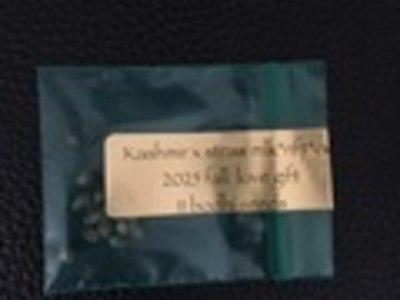 Sale: Kashmir x Strawberry Milk - Bodhi Seeds