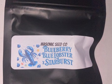 Vente: Masonic seed company/ blueberry blue lobster starburst
