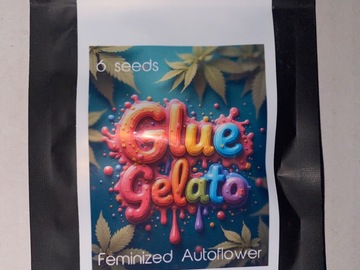Sale: 333 Genetics/ Glue Gelato auto flower full pack