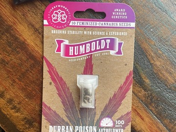 Vente: Humboldt Seed Company - Durban Poison Auto