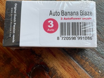 Vente: Dutch Passion - Auto Banana Blaze