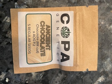 Venta: Copa Ancient Berries BX1 5 reg seeds