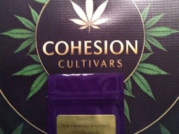 Venta: Lemon 27 Bodhi Seeds